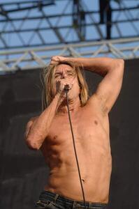 Fotografia Venice 06/20/2008 THE ROCK SINGER IGGY POP and THE STOOGES