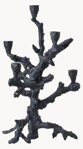 Svietnik Apple Tree