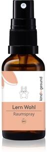 Kindgesund Learn Well Spray bytový sprej pre deti 30 ml