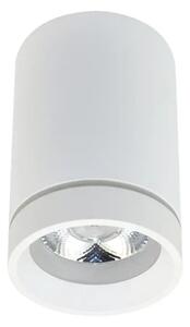 LED bodové svetlo Bill biele