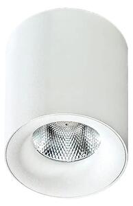 LED bodové svetlo Mane biele