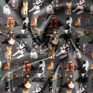 Obliečky z mikrovlákna DOGS AND CATS tmavosivé Rozmer obliečky: 70 x 80 cm | 140 x 200 cm