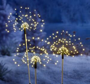Weltbild LED záhradný zápich Magické kvety