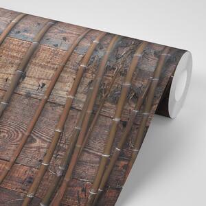 Samolepiaca tapeta exotický bambus na dreve