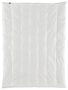 CELOROČNÁ PRIKRÝVKA, 155/220 cm, polyester Centa-Star - Prikrývky & vankúše, Online Only