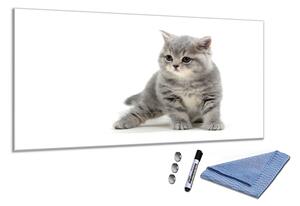 Sklenená magnetická tabuľa malá šedá kočka - S-1921181123-5050