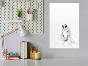 Sklenená magnetická tabuľa malovaný andaluský kůň - S-265671161-5050