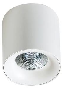 LED bodové svetlo Mane 30W biele