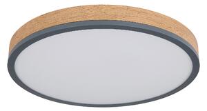 STROPNÉ LED SVIETIDLO, 45/8,5 cm Novel - Interiérové svietidlá