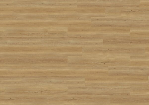 WINEO 800 wood XL Bradford oak honey MLD835WXL - 2.10 m2