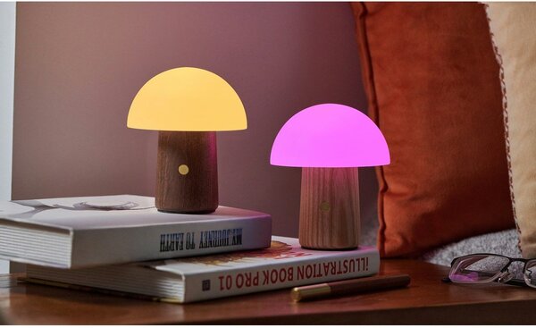 Stmievateľná stolová lampa v prírodnej farbe so skleneným tienidlom (výška 13 cm) Alice – Gingko