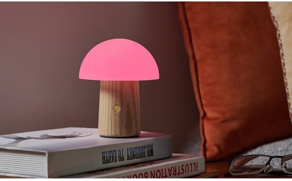 Stmievateľná stolová lampa v prírodnej farbe so skleneným tienidlom (výška 13 cm) Alice – Gingko