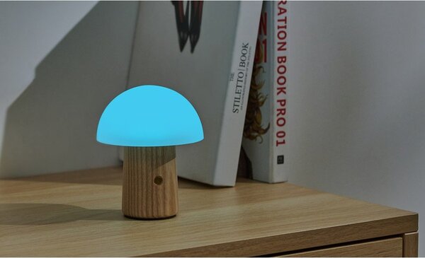 Stmievateľná stolová lampa v prírodnej farbe so skleneným tienidlom (výška 13 cm) Alice – Gingko