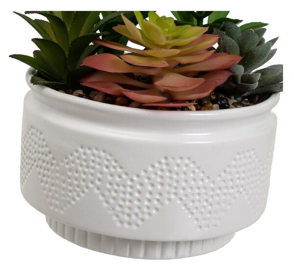 Umelé rastliny v súprave 2 ks (výška 19 cm) Cactus – Casa Selección