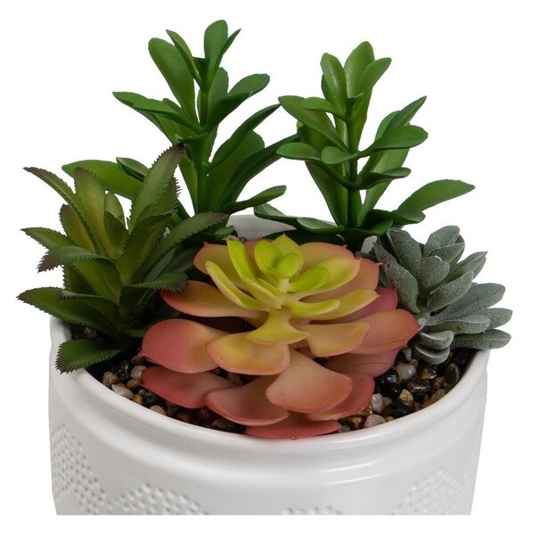 Umelé rastliny v súprave 2 ks (výška 19 cm) Cactus – Casa Selección