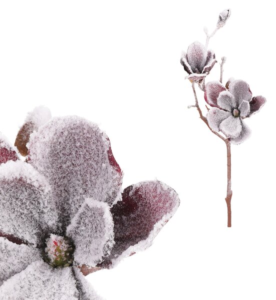 Vianočný kvet omrznutá magnólia, farba bordó 50cm