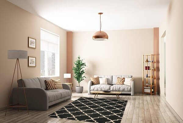 Berfin Dywany , Kusový koberec Lagos 1052 Dark Grey (Silver), 140x190, šedá, chodba / predsieň