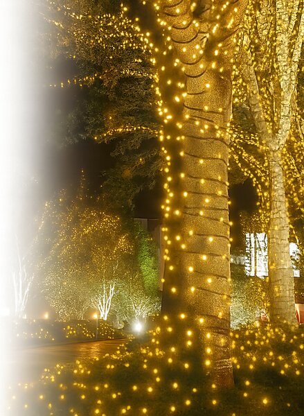Vianočné svetielka vonkajšie FLASH teplá biela 100 LED