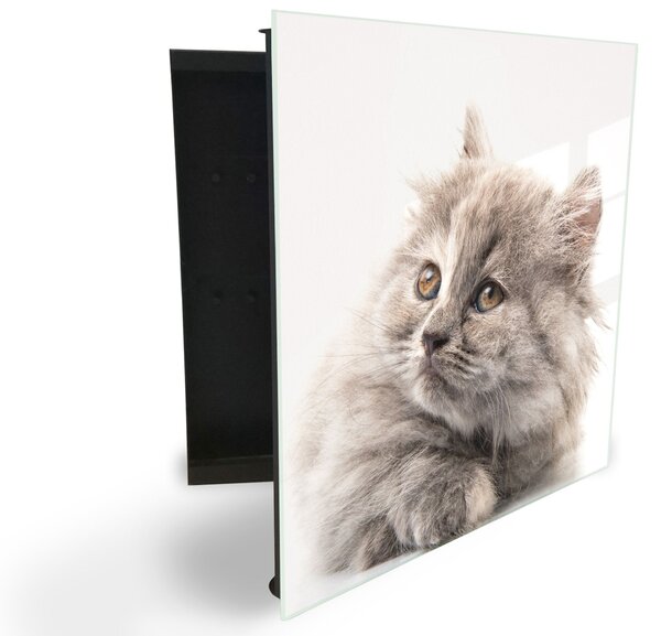 Glasdekor skrinka na kľúče - pekná šedá mačka - Ľavé / Čierna