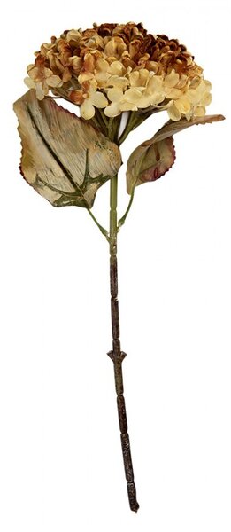 Žltá umelá dekorácia sušená kvetina hortenzie - 15*15*47 cm - Clayre & Eef
