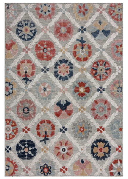VONKAJŠÍ KOBEREC, 160/230 cm sivá Flair Rugs - Online Only bytové doplnky, Online Only