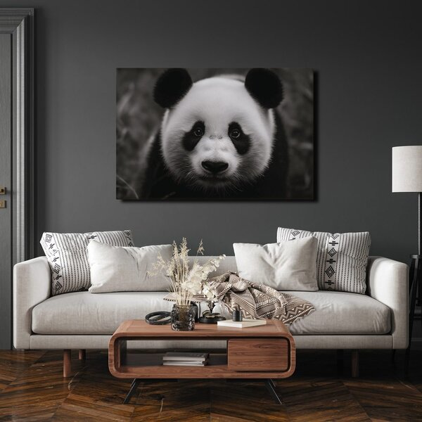 Obraz roztomilá panda v prírode