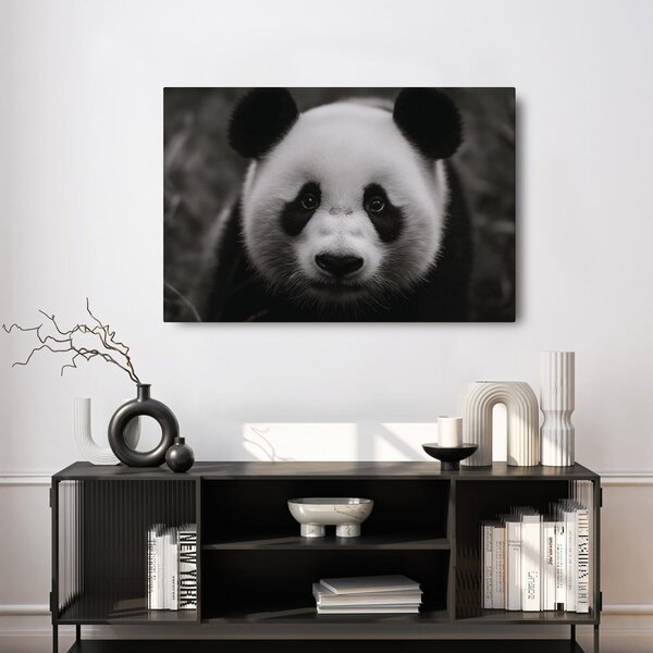 Obraz roztomilá panda v prírode