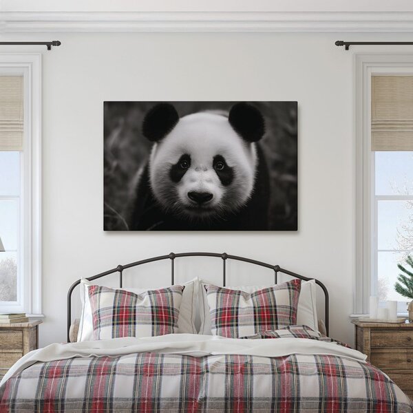 Obraz roztomilá panda v prírode