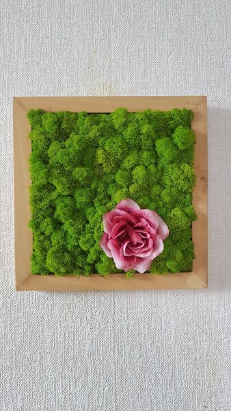 Machový obraz s kvetom ruže 40cm x 40cm