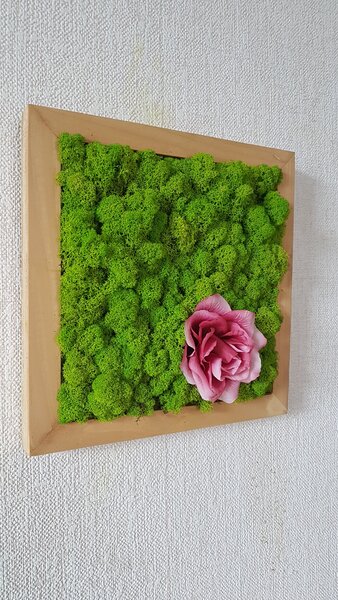 Machový obraz s kvetom ruže 40cm x 40cm
