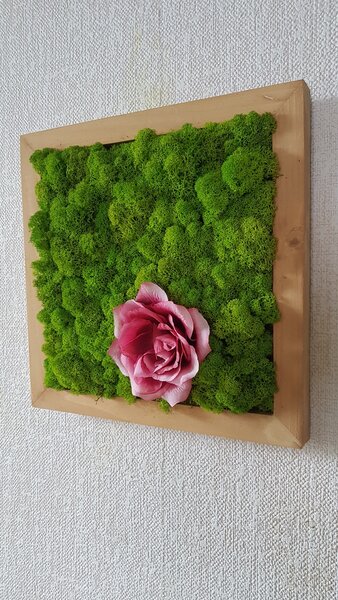 Machový obraz s kvetom ruže 40cm x 40cm