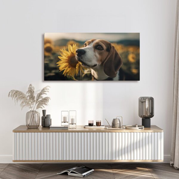 Obraz beagle so slnečnicou
