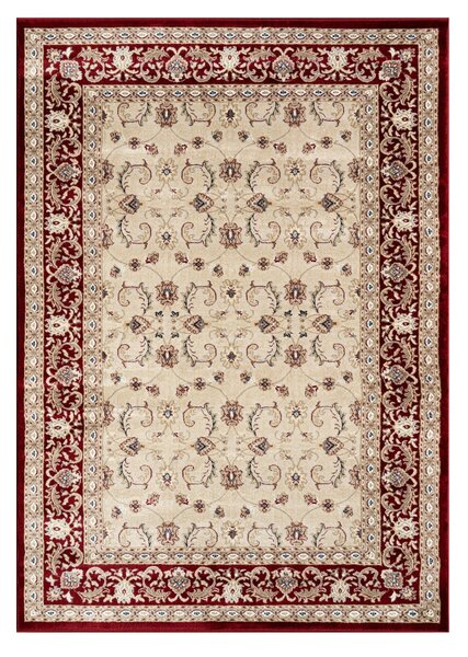 Angel Carpet, Kusový koberec Sultan 21 Red, 60x110, červená, kancelária