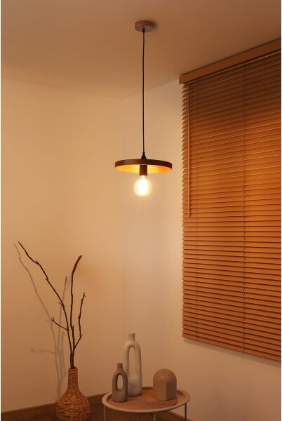 Duolla - Luster na lanku IRONLINE 1xE27/15W/230V pr. 30 cm medená/čierna