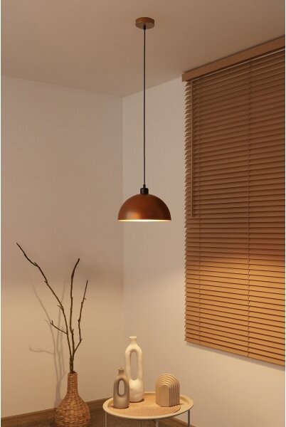 Duolla - Závesné svietidlo na lanku IRONLINE 1xE27/15W/230V pr. 27 cm medená/čierna