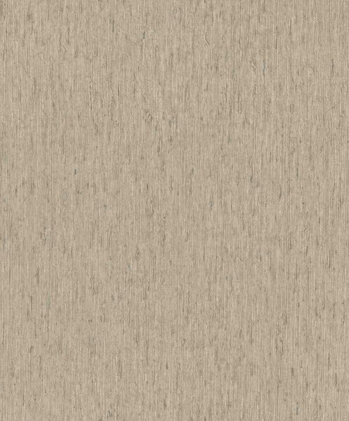 RASCH | Vliesová tapeta na stenu Back to Nature 571059 | 0,53 x 10,05 m | hnedá, šedá