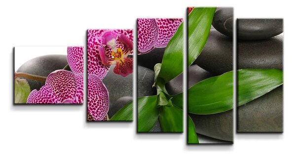 Sablio Obraz - 5-dílný Orchidey a kamene - 100x60 cm