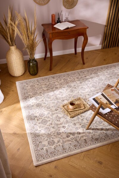 Koberec RAGOLLE Da Vici 57461 6265