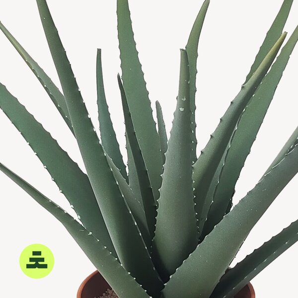 Umelé Aloe 59 cm