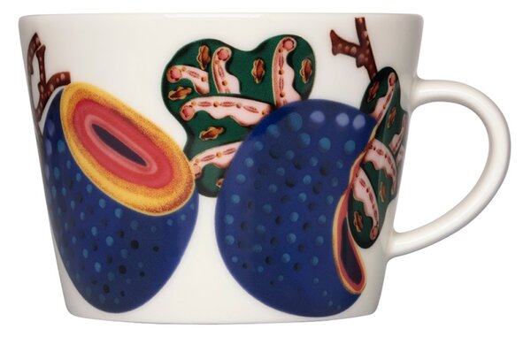 Iittala Šálka s podšálkou Taika Sato 0,2l, biela