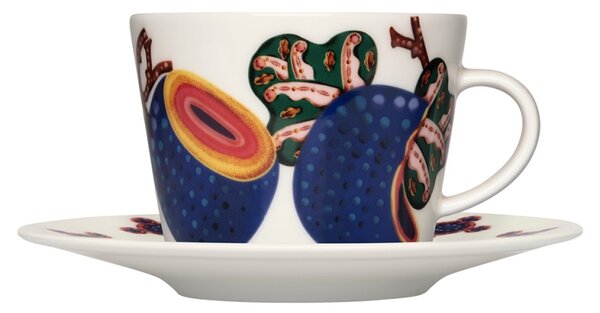 Iittala Šálka s podšálkou Taika Sato 0,2l, biela