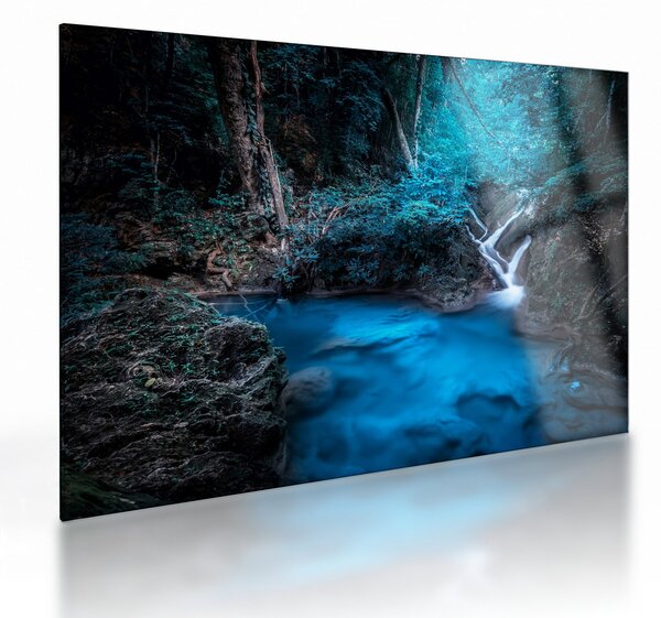 Sklenený obraz - Magická noc v tropickom lese (70x50 cm)