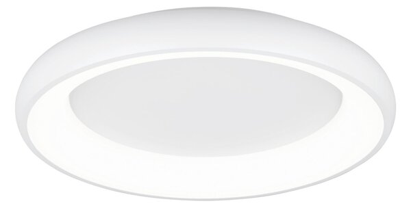 STROPNÉ LED SVIETIDLO, 62/10 cm Trio Leuchten - Interiérové svietidlá