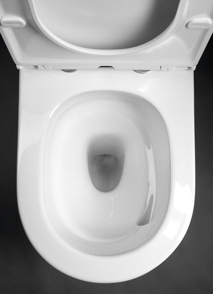 Sapho Sapho, DARIO RIMLESS WC kombi misa s nádržkou, spodný/zadný odpad, biela, PC106V