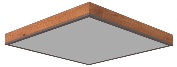 STROPNÉ LED SVIETIDLO, 45/45/7,6 cm Novel - Interiérové svietidlá