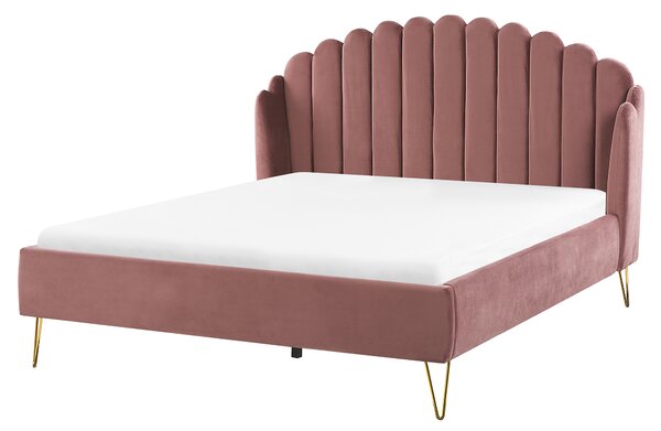 Posteľ ružová zamatová 160 x 200 cm čalúnený rám postele kovové nohy retro dizajn zaoblené prešívané čelo v tvare mušle