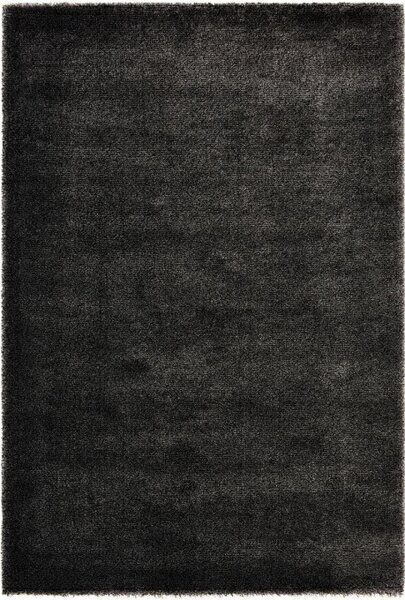 Koberec Ragolle Spectrum 80001 8383