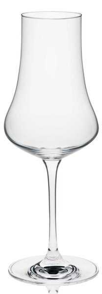 RONA BAR poháre na likér a destilát Fruit Spirit Glass 260 ml 6 ks