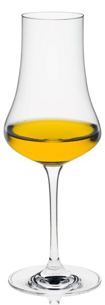 RONA BAR poháre na likér a destilát Fruit Spirit Glass 260 ml 6 ks