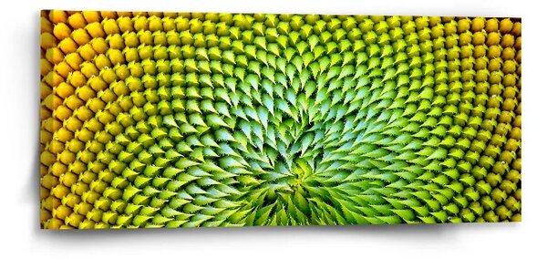 Sablio Obraz Detailný kvet - 110x50 cm